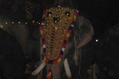 elephantheaddress